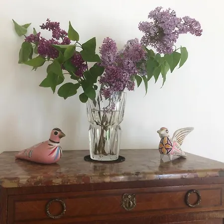 Maison De Charme A Jaligny-sur-besbre, 4 Chambres, Jardin, Draps & Menage Inclus - Fr-1-489-459 Holiday home Jaligny